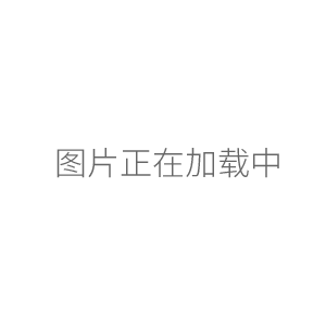  NDJ-5S旋轉(zhuǎn)粘度計(jì)(數(shù)字式）